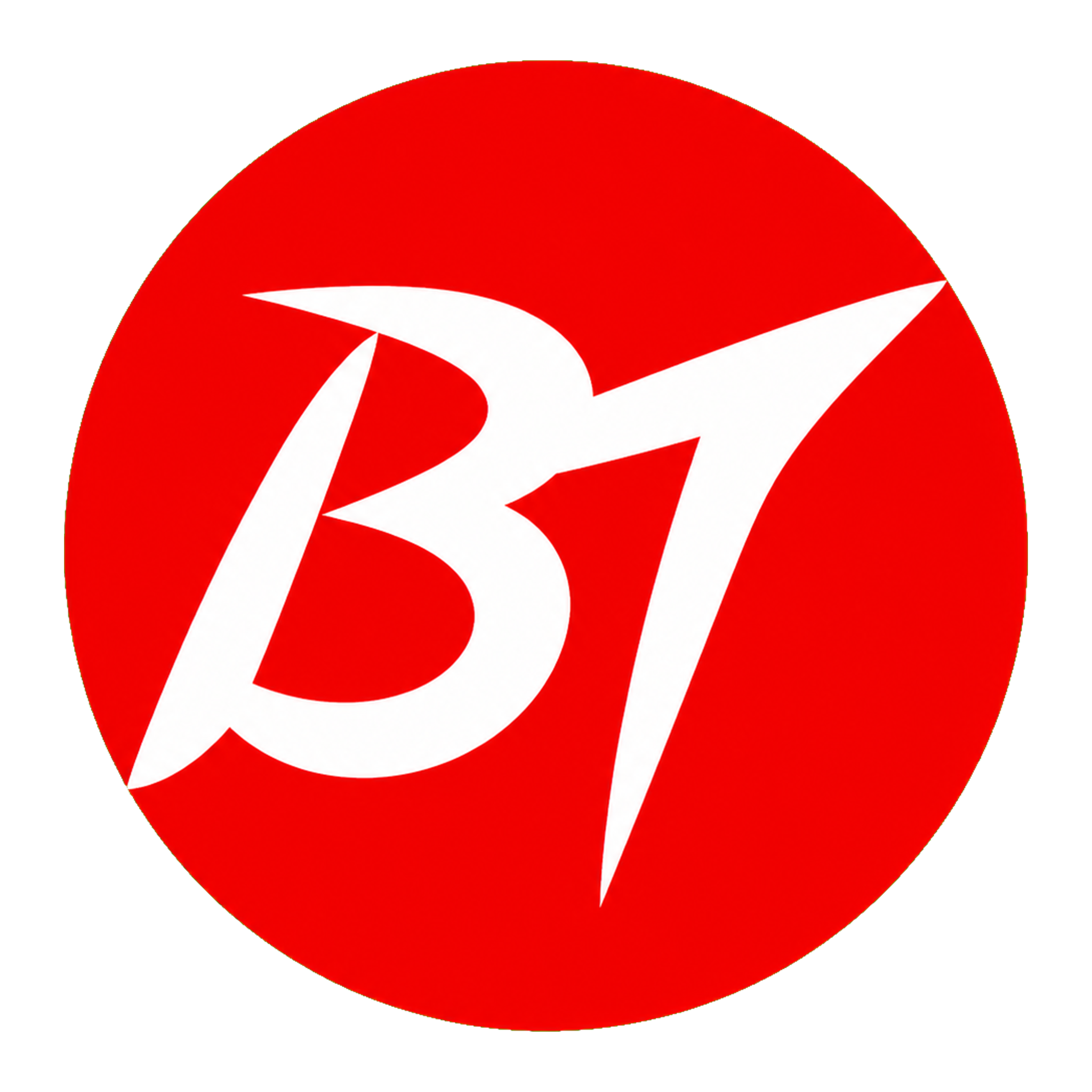 Bo Tao Electronics